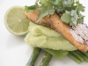 salmon