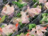 JJS_3652_500